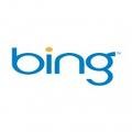 Microsoft Launches Bing Translator App For Windows
